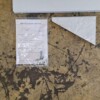 RVS Wandschap schap 60 x 30 cm Horeca - Afbeelding 4
